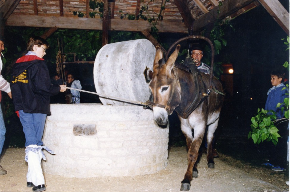Dur travail pour l'ne et son guide